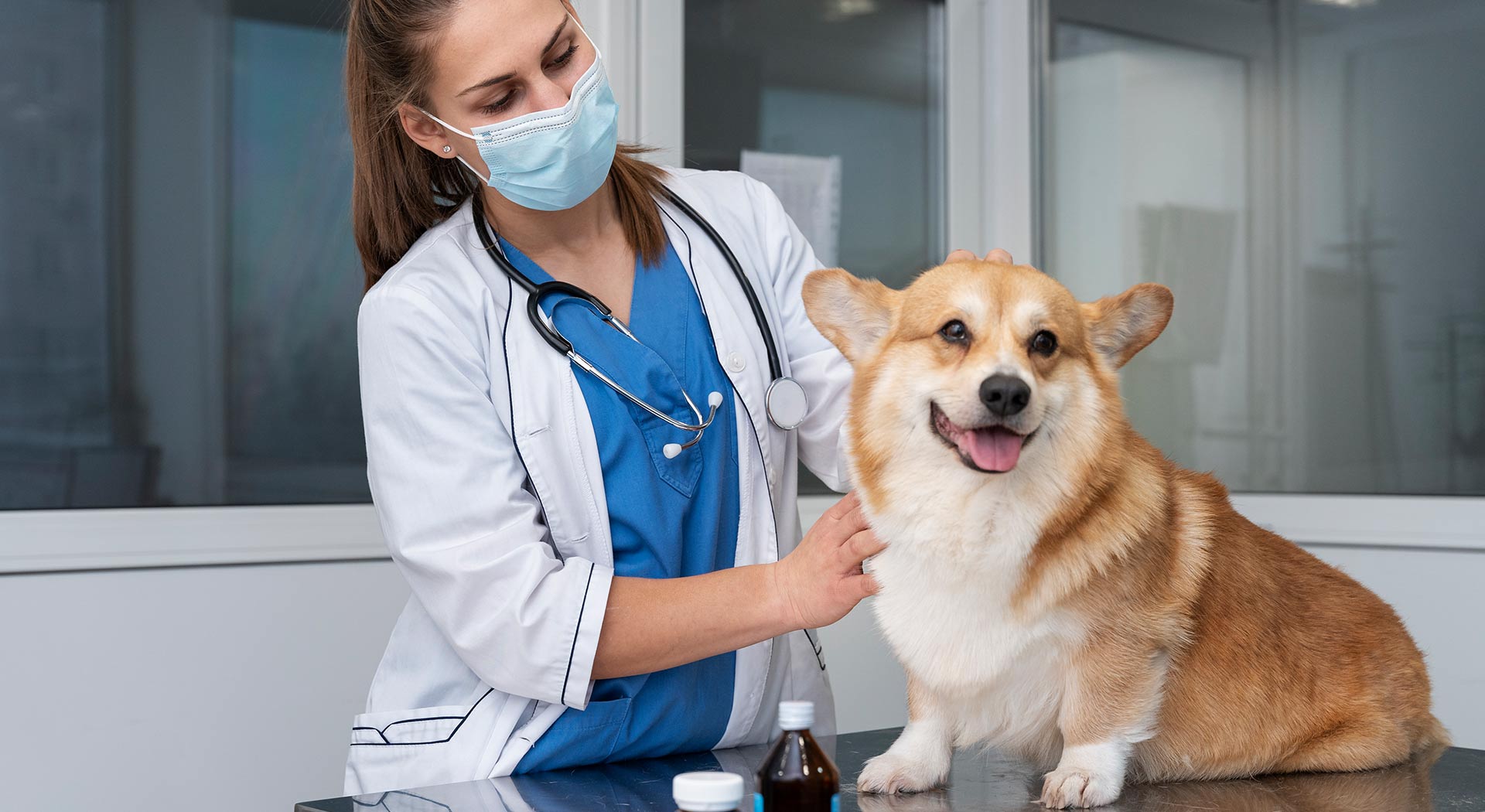 The Finest in Veterinary Care